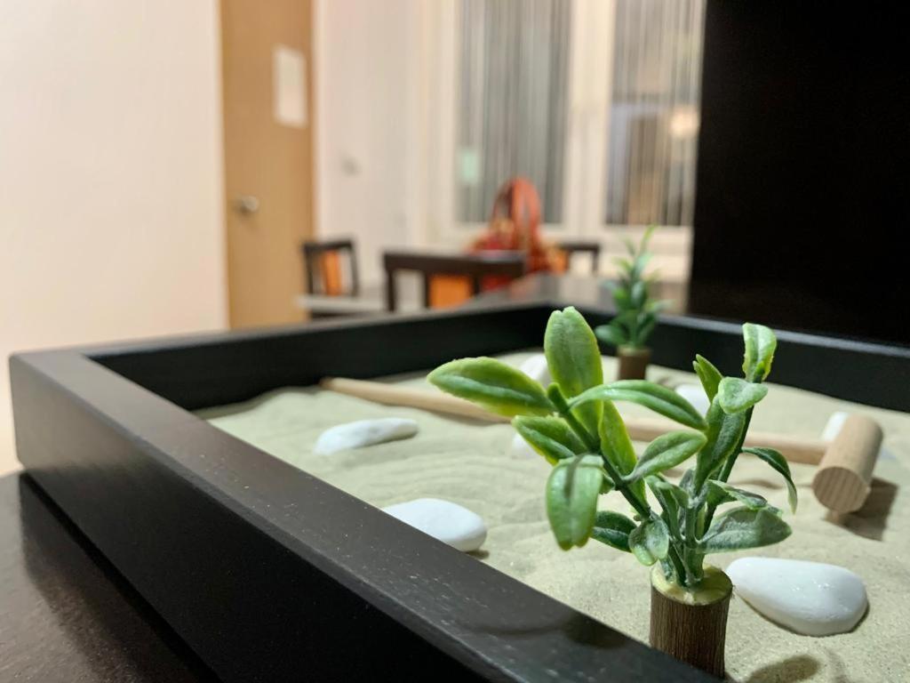 City Center Crown Apartment 贝尔格莱德 外观 照片